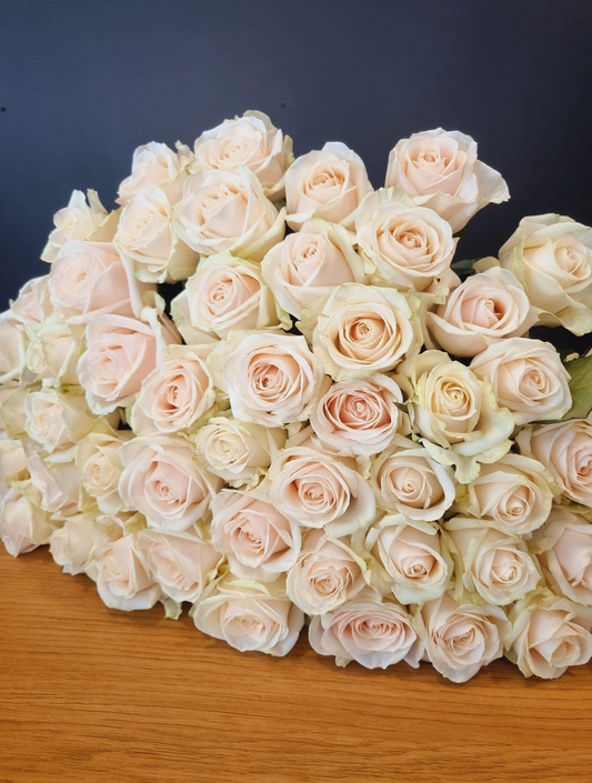 Kreminės spalvos rožės