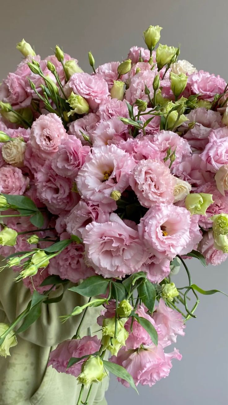 Eustoma